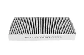 BSG 65-145-010 BSG Фильтр, воздух во внутренном пространстве